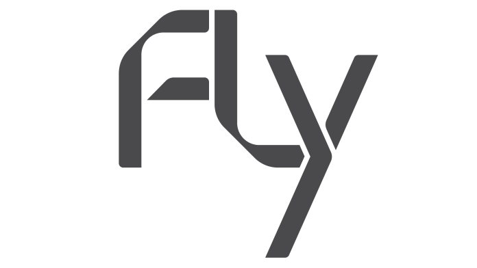 Fly Ventures