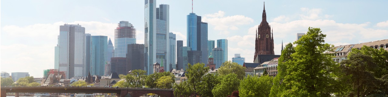 Frankfurt Skyline with Kaiserdom and Main river