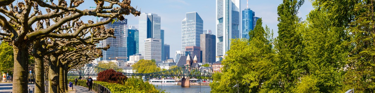 Mainufer vor der Frankfurter Skyline