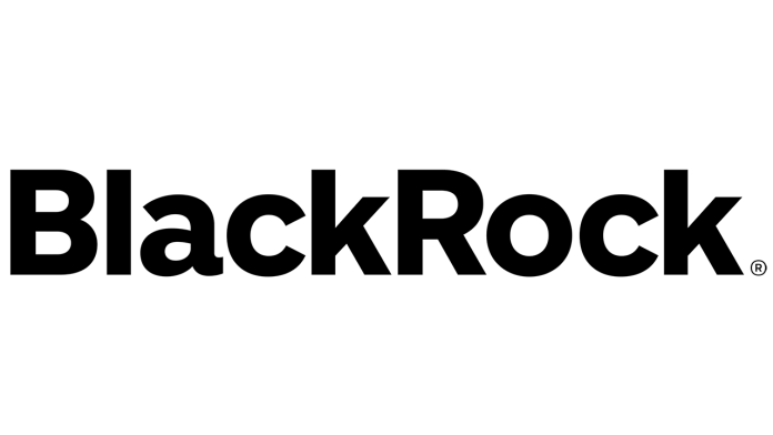 Logo BlackRock