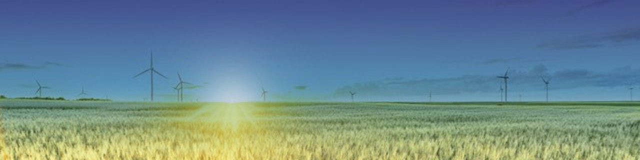 Feld mit Windmühlen und Sonne